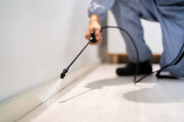 Licensed Cockroach Control service in Okemah, OK - Nex Pest Control