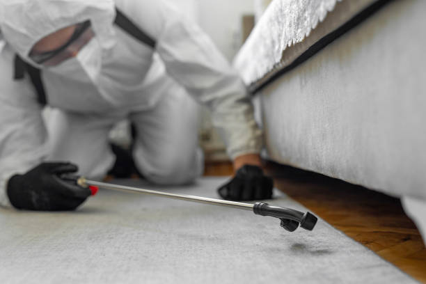 Professional Cockroach Control technician working in Okemah, OK