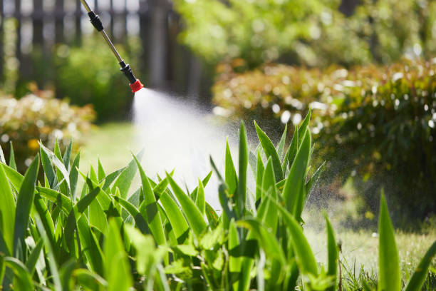 24/7 Emergency Cockroach Control experts in Okemah, OK