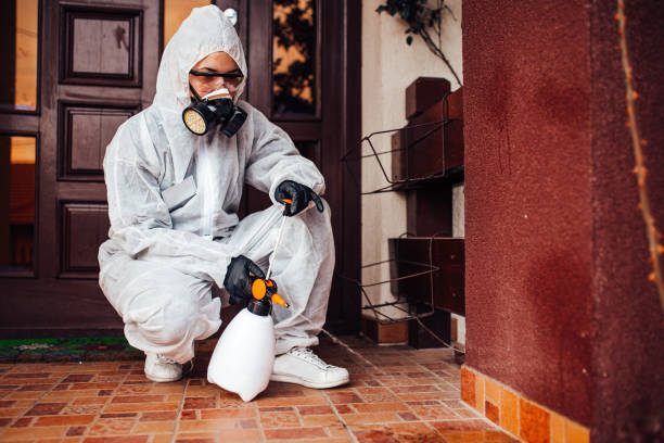 Reliable Cockroach Control contractor in Okemah, OK by Nex Pest Control